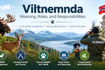 Viltnemnda
